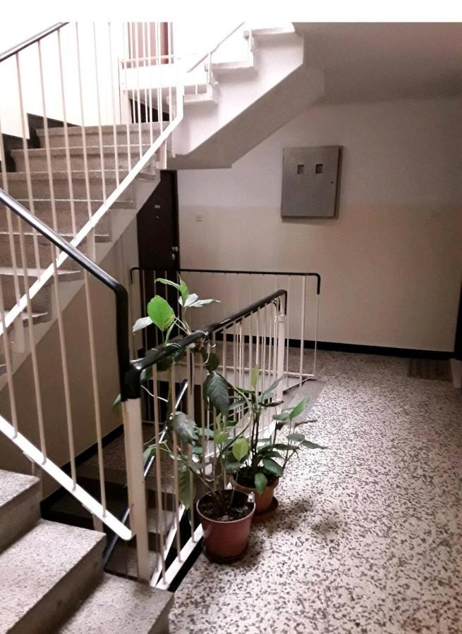 Apartment Vlatka 스플리트 외부 사진